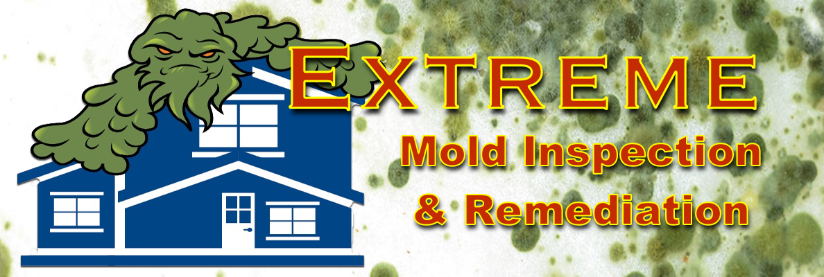 Braidwood Mold Inspection