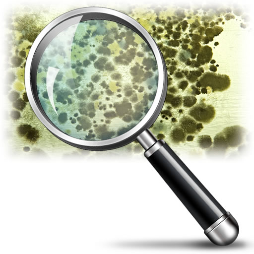 Mold Inspectors of Plainfield